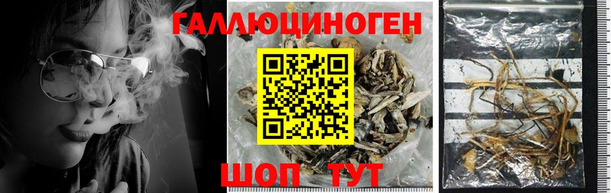 Салехард  закладки  Галлюциногенные грибы MAGIC MUSHROOMS  Вход с VPN  Галлюциногенные грибы GOLDEN TEACHER 